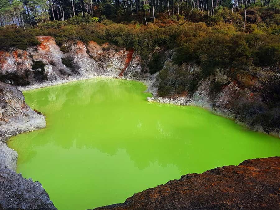 From Rotorua: Wai-O-Tapu, Waimangu and Te Puia Full-Day Tour - Te Puia brings the cultural side into focus