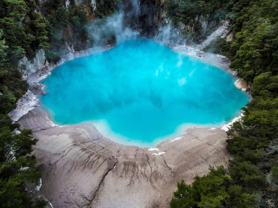 From Rotorua: Wai-O-Tapu, Waimangu and Te Puia Full-Day Tour - Is $209 a fair price?
