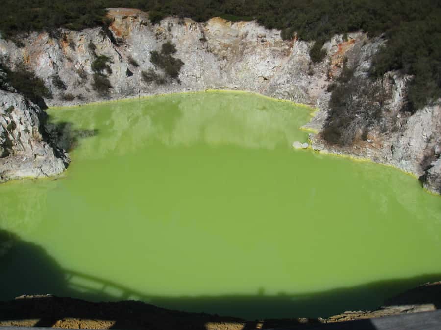 From Rotorua: Wai O Tapu & Waimangu Eco Thermal Morning Tour - Why this Rotorua morning works so well