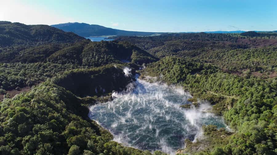 From Rotorua: Wai O Tapu & Waimangu Eco Thermal Morning Tour - Lady Knox Geyser at 10:15 AM