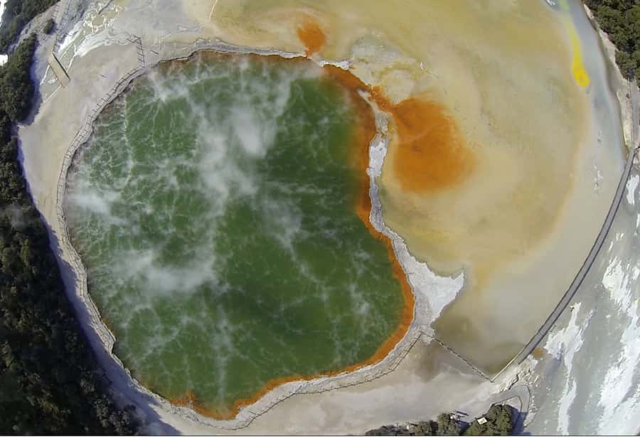 From Rotorua: Wai O Tapu & Waimangu Eco Thermal Morning Tour - The guide makes the difference