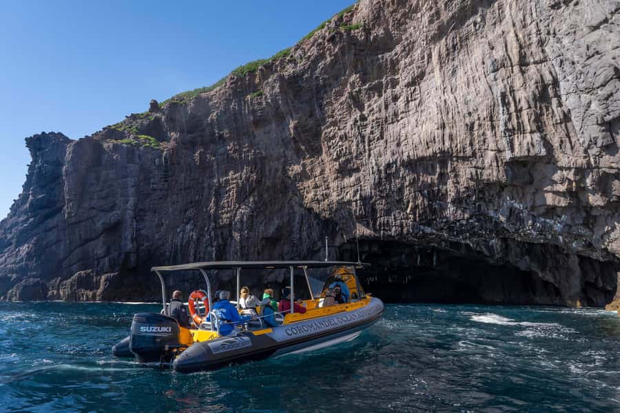 From Tairua: 2 Hour Cathedral Cove Tour with Local Guide - Cathedral Cove and the marine reserve