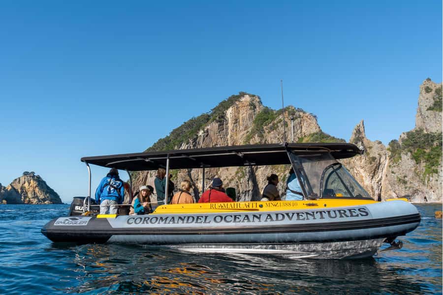 From Tairua: 2 Hour Cathedral Cove Tour with Local Guide - Wildlife, weather, and the real trade-off