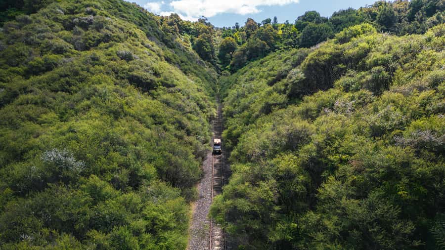 From Taumarunui: The Republic Rail Cart Adventure - Morning tea and the railway stories at Matiere
