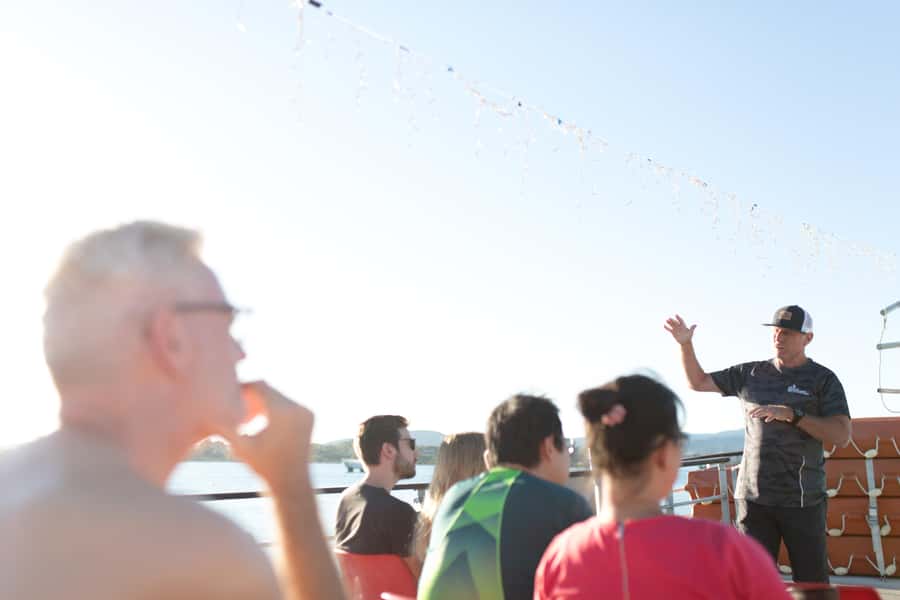 From Tauranga: Dolphin and Wildlife Cruise - Who will enjoy this cruise most?