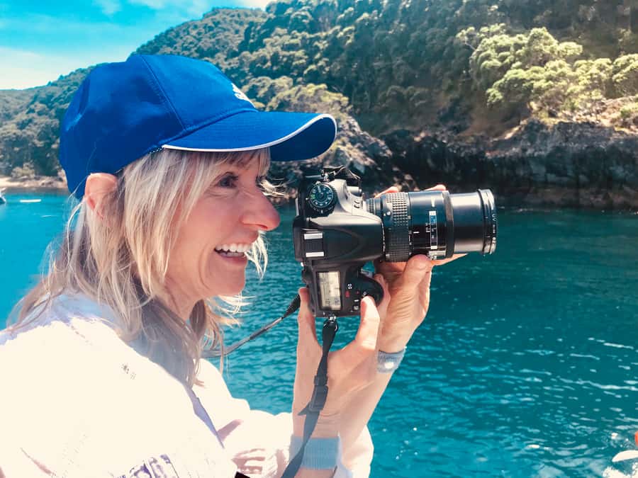 From Tauranga: Dolphin and Wildlife Cruise - Searching the Bay of Plenty for dolphins