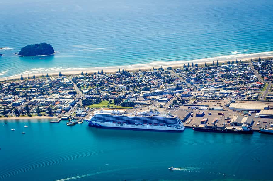 From Tauranga: Skydive over Mount Maunganui - Who will get the most from this experience?