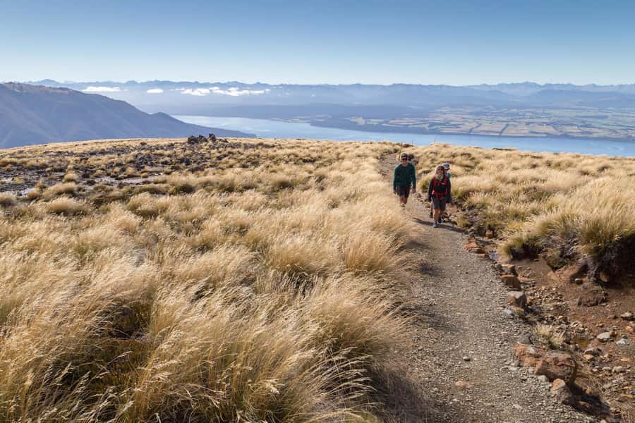 From Te Anau: Full Day Kepler Track Guided Heli-Hike - The 800-meter descent through changing forest