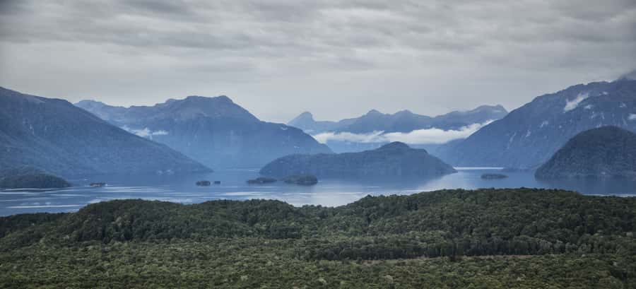 From Te Anau: Full Day Kepler Track Guided Heli-Hike - Ferns, Brod Bay, and the end of the walk