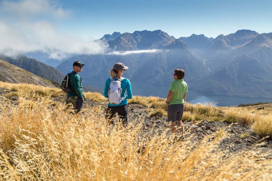 From Te Anau: Full Day Kepler Track Guided Heli-Hike - Weather, fitness, and the real drawbacks