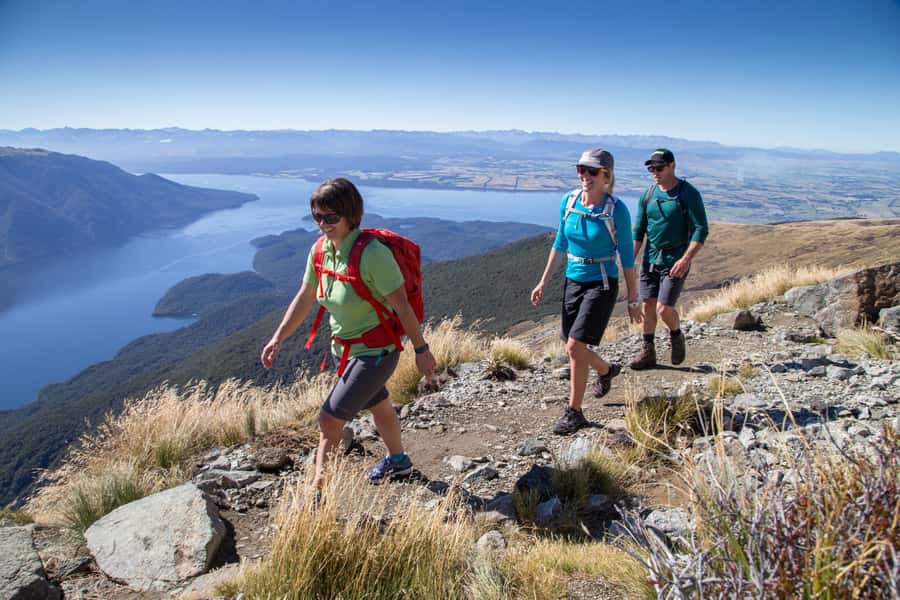 From Te Anau: Full Day Kepler Track Guided Heli-Hike - Who should book the $457 experience