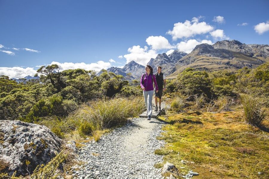 From Te Anau: Milford Sound Coach, Cruise, and Walks - The guides are a major part of the value