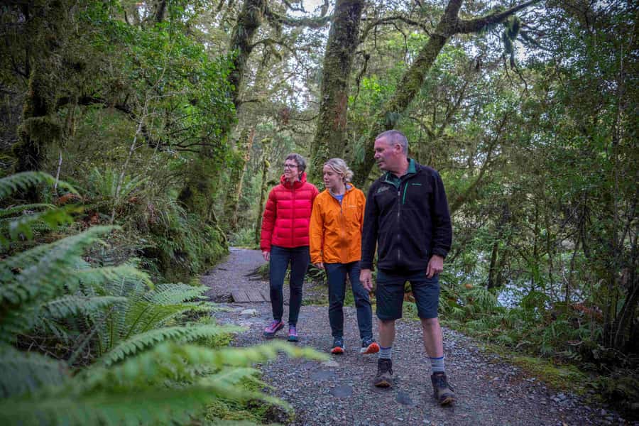 From Te Anau: Milford Sound Coach, Cruise, and Walks - Is $164 a fair price?