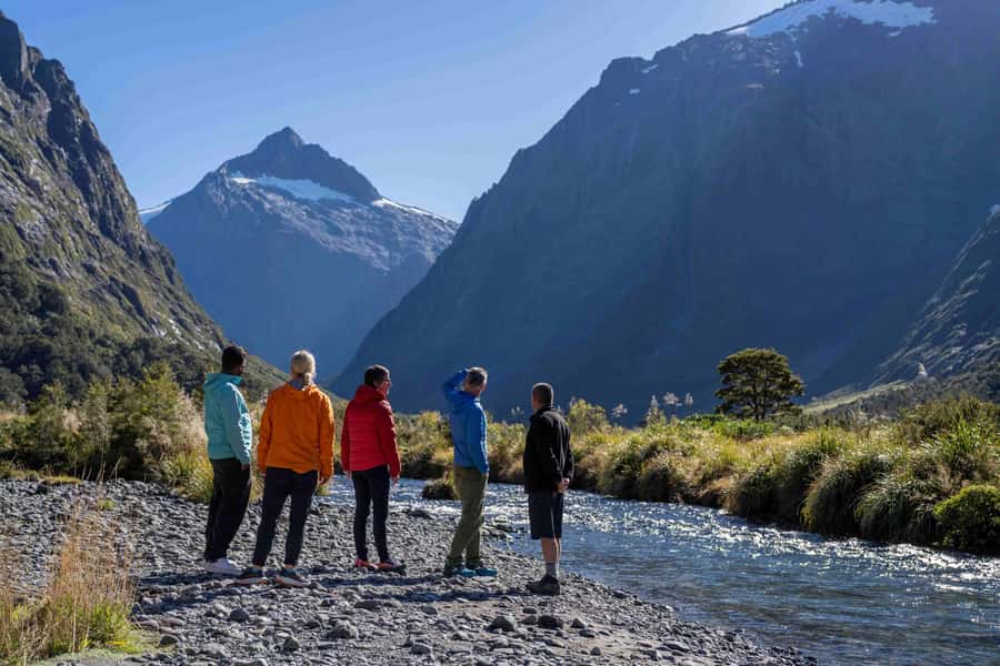From Te Anau: Milford Sound Coach, Cruise, and Walks - The Milford Road is part of the attraction