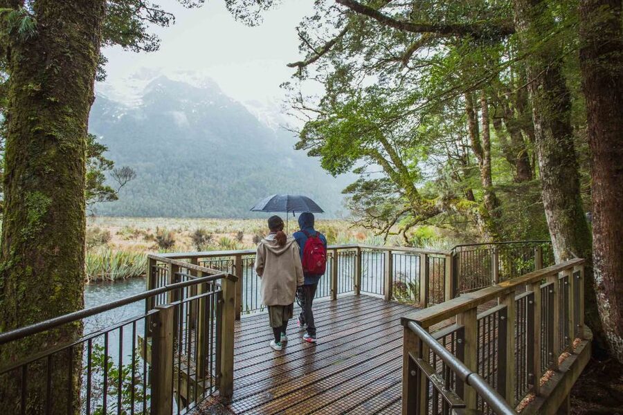 From Te Anau: Milford Sound Coach Tour and Cruise - Practical tips for a better day