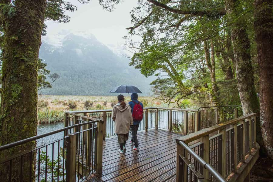 From Te Anau: Milford Sound Coach Tour and Cruise - Why Te Anau is the smart starting point