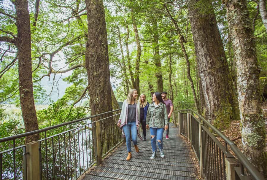 From Te Anau: Milford Sound Coach Tour and Cruise - Lunch, hot drinks, and the value of the package