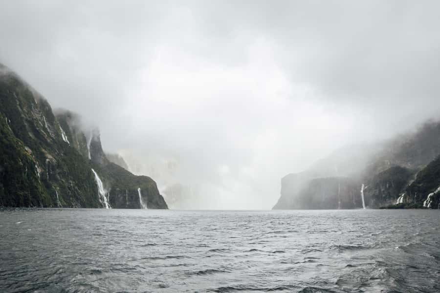 From Te Anau: Milford Sound Coach Tour and Cruise - The cruise’s wildlife and waterfall moments