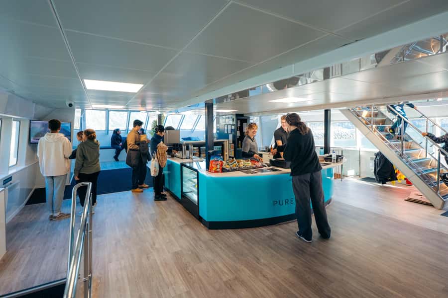 From Te Anau: Milford Sound Coach Tour and Cruise - What the guides add to a long day