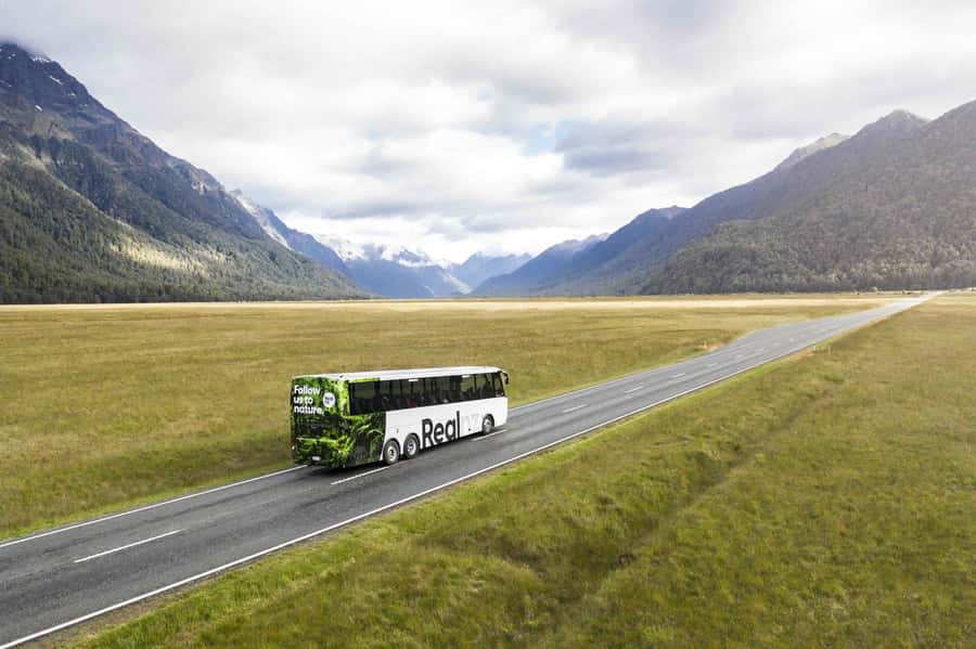 From Te Anau: Milford Sound Cruise and Coach Day Trip - Eglinton Valley opens the Fiordland story