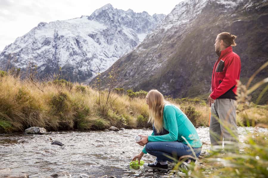 From Te Anau: Milford Sound Premium Bus Tour and Cruise - Should you book the Southern Discoveries tour?