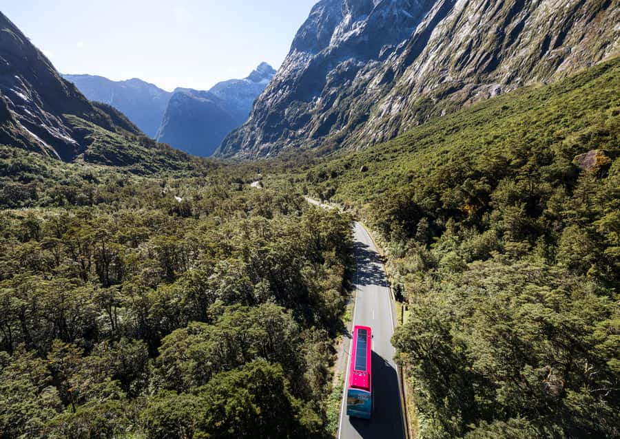 From Te Anau: Milford Sound Premium Bus Tour and Cruise - Lunch choices and what they mean for the price