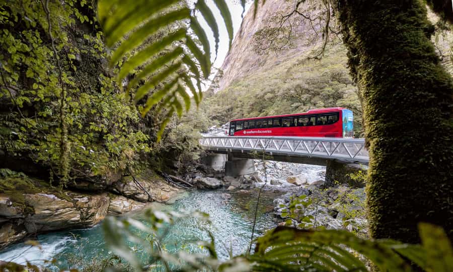 From Te Anau: Milford Sound Premium Bus Tour and Cruise - Weather, clothing, and smart preparation