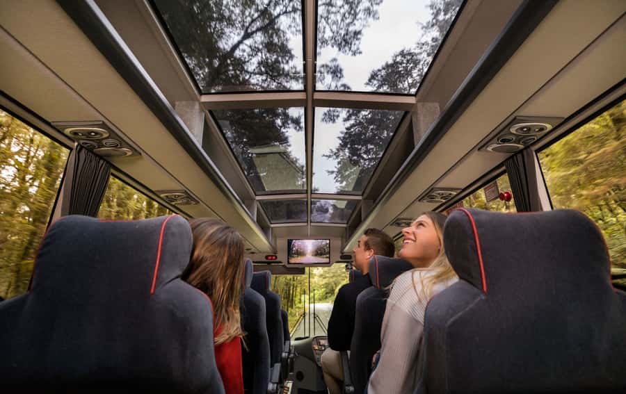 From Te Anau: Milford Sound Premium Bus Tour and Cruise - The road through Eglinton Valley