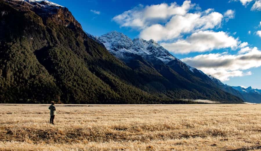 From Te Anau: Milford Sound Small-Group Tour Including Lunch - Is the $178 price good value?