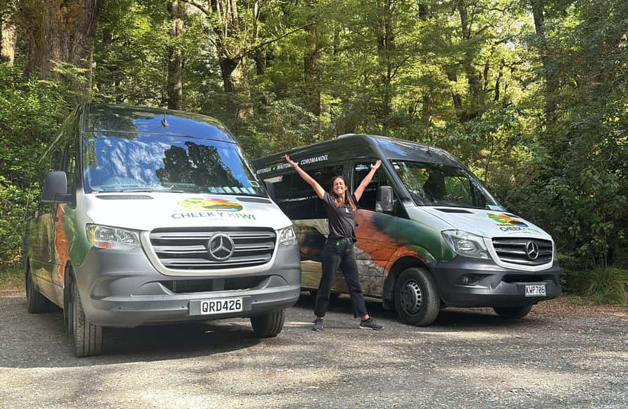 From Te Anau: Milford Sound Small-Group Tour Including Lunch - Lake Gunn, Hollyford River, and Falls Creek