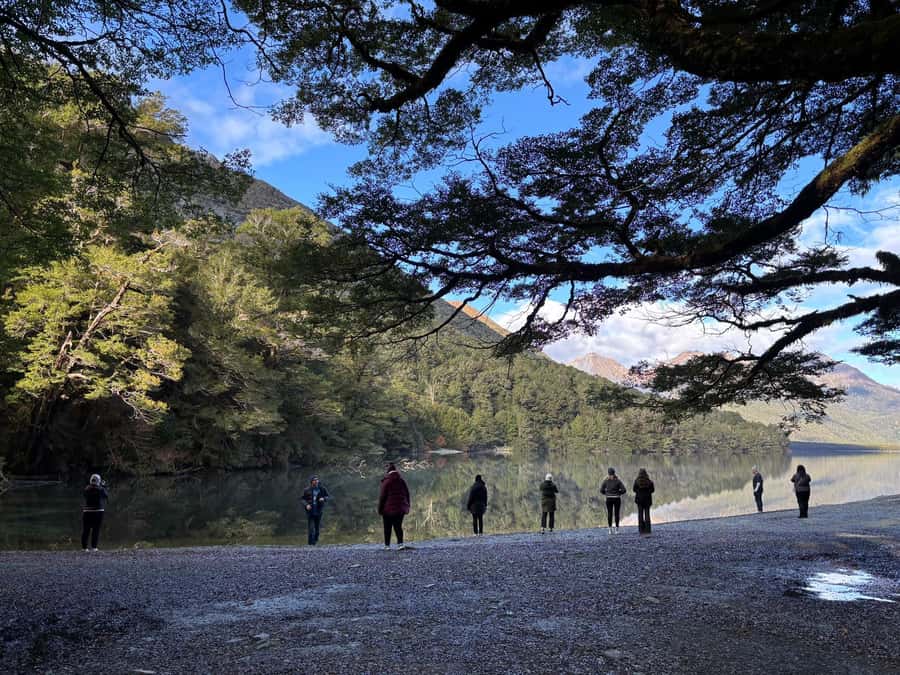 From Te Anau: Milford Sound Small-Group Tour Including Lunch - The guide can make or break a long day
