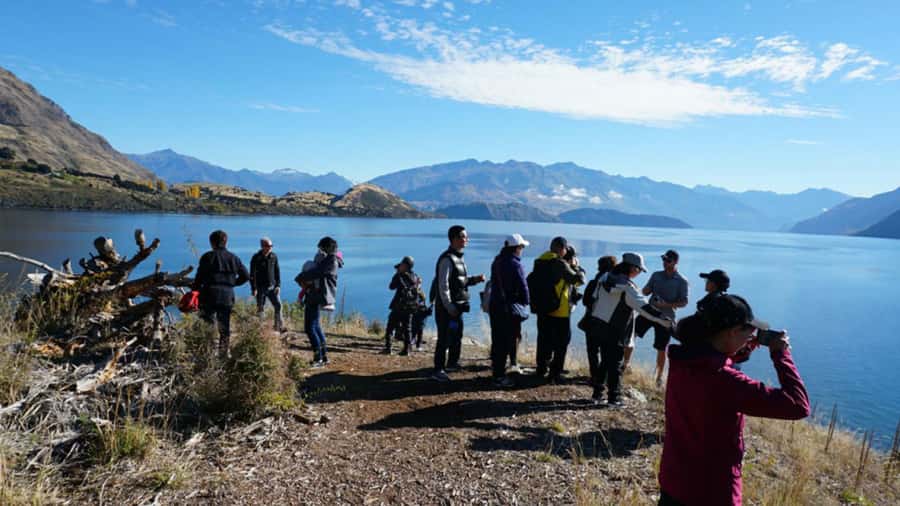 From Wanaka: Ruby Island 1-Hour Cruise and Photo Walk - What the $29 price gets you