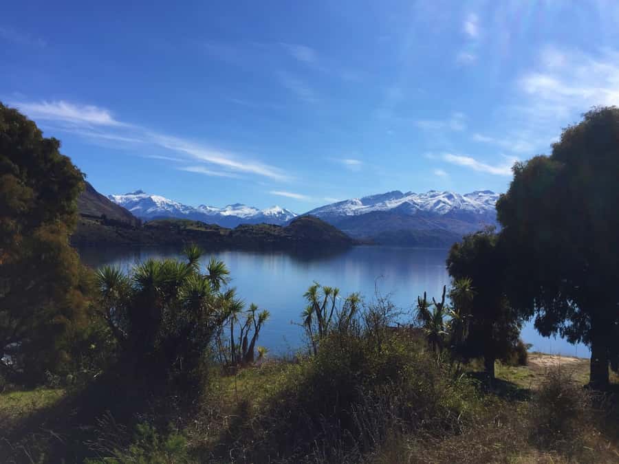 From Wanaka: Ruby Island 1-Hour Cruise and Photo Walk - Crossing Lake Wanaka to Ruby Island