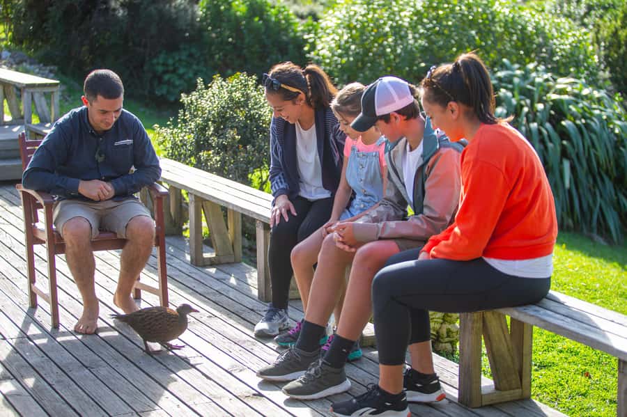From Wellington: Kapiti Island Classic Guided Day Tour - Why Kapiti Island matters