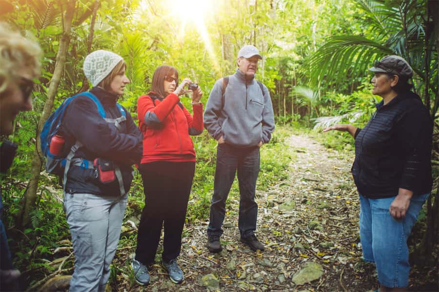 From Wellington: Kapiti Island Classic Guided Day Tour - From Wellington to Paraparaumu Beach