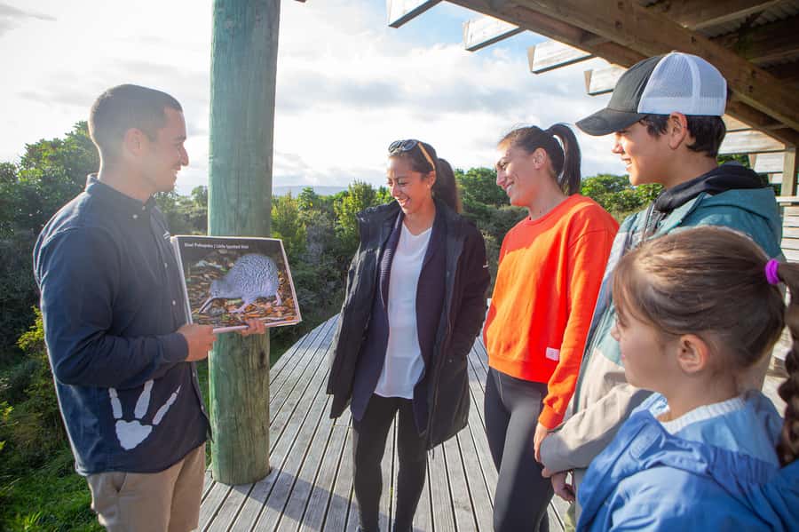 From Wellington: Kapiti Island Classic Guided Day Tour - Māori hospitality and lunch at the Lodge