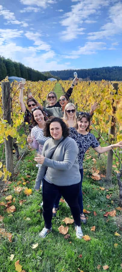 From Wellington: Martinborough Winery Tour - Why Martinborough works as a Wellington day trip
