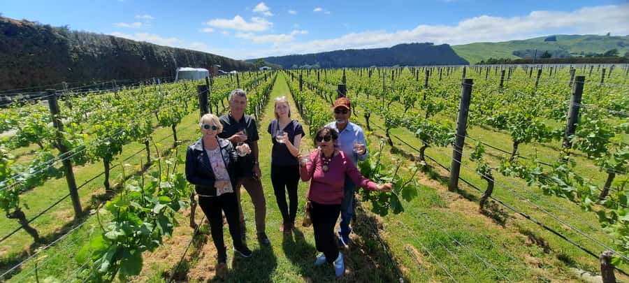 From Wellington: Martinborough Winery Tour - The 555-metre Remutaka Summit stop