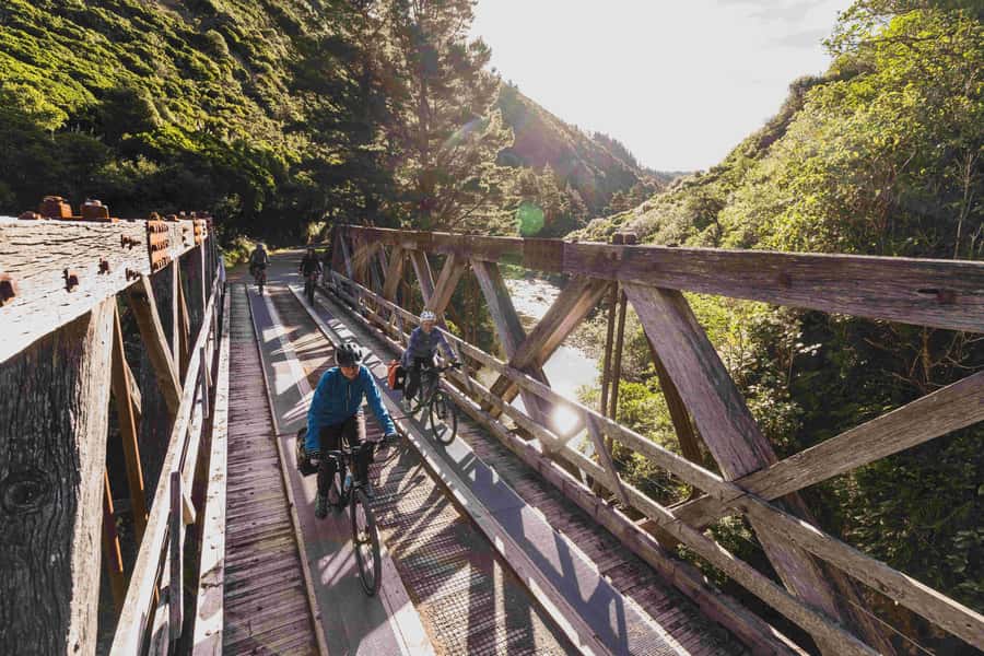 From Wellington: Remutaka Rail Trail eBike Tour - The grassy summit and packed lunch