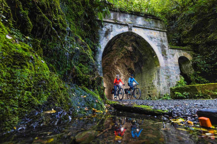 From Wellington: Remutaka Rail Trail eBike Tour - From Wellington Station to Kaitoke