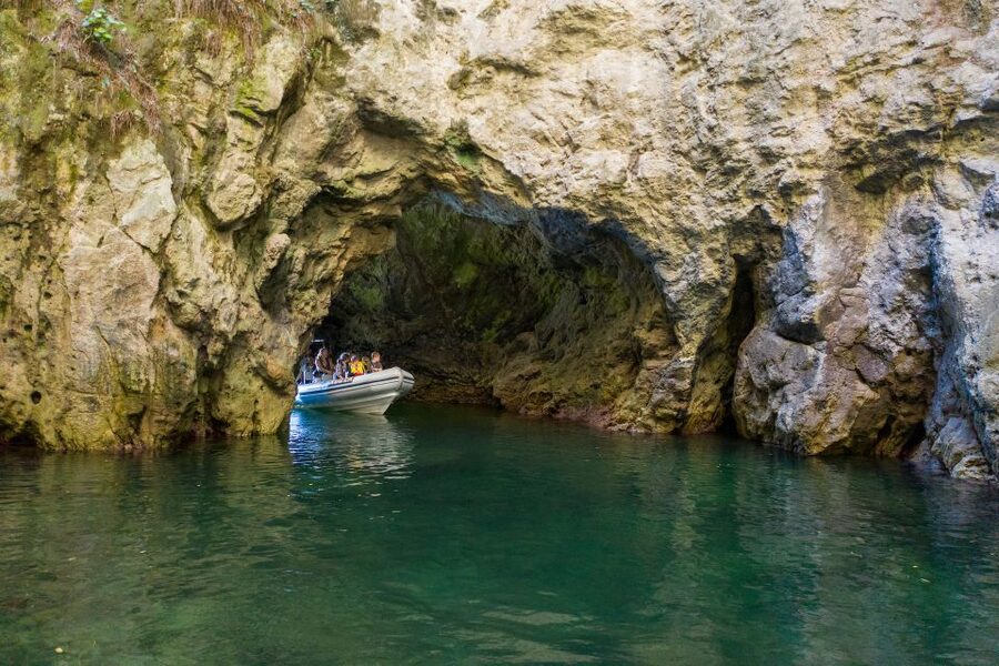 From Whitianga: Cathedral Cove Cruise with Snorkeling - Five things to know before you book