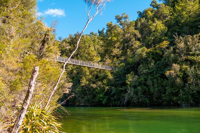 Full-Day Abel Tasman National Park Hiking Tour with Cruise - The afternoon walk to Anchorage