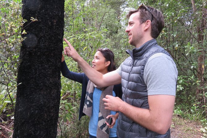 Full-Day Abel Tasman National Park Hiking Tour with Cruise - Forest tracks, plants, birds, and local stories