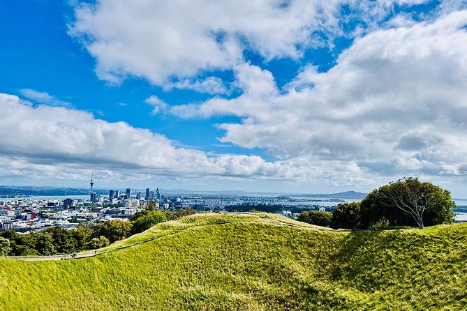 Full-Day Auckland Discovery - Key points to know before booking