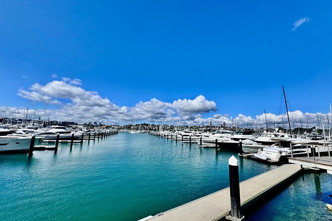 Full-Day Auckland Discovery - Mission Bay and MJ Savage Memorial Park