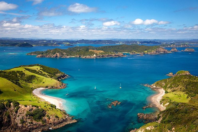 Full-Day Bay of Islands Tour by Vigilant Yacht Charters - Kayaking, snorkeling, and swimming in sheltered water