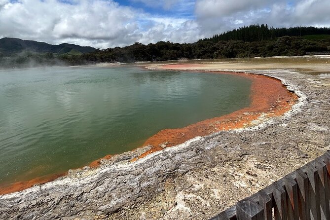 Full-Day Driver with Tesla Car-Customisable North Island Tour - Putāruru Blue Spring: a short natural pause