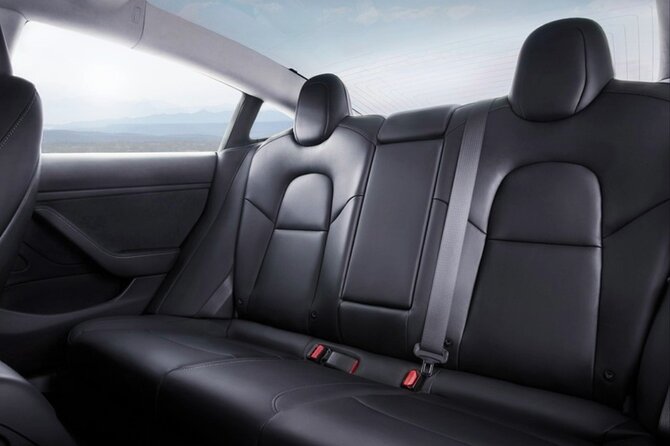 Full-Day Driver with Tesla Car-Customisable North Island Tour - Rotorua options for families and active groups