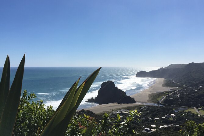 Full Day Ebike Tour in Karangahake Gorge (ex Auckland) - Finishing in Paeroa with a local classic
