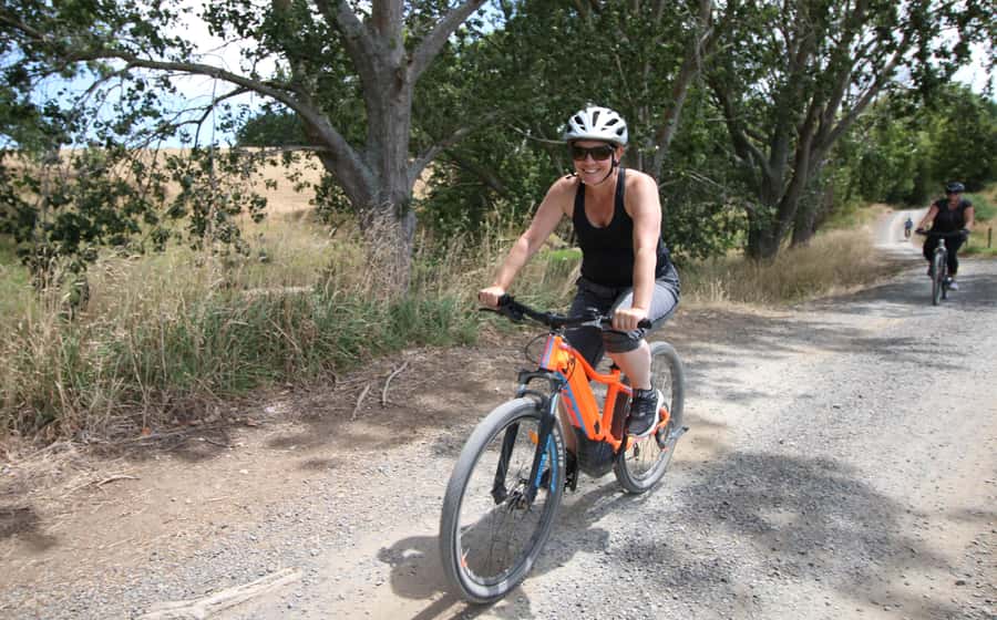 Full Day Ebike Tour - Karangahake Gorge NZ - The Auckland pickup and two-hour journey